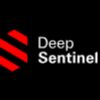 Deep Sentinel