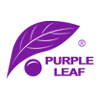 Purple Leaf