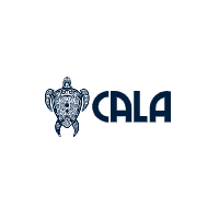 CALA Boards DE