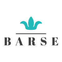 Barse Jewelry